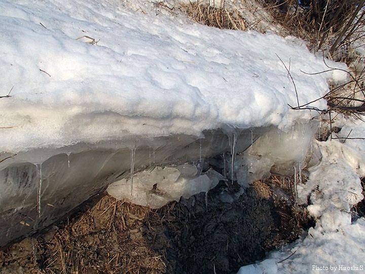 本当は割れた氷が、岸にせり出している位のタイミングが良いのだが。