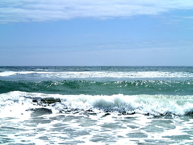 初夏の太平洋岸は海況こそ良かったが魚影が極端に少ない