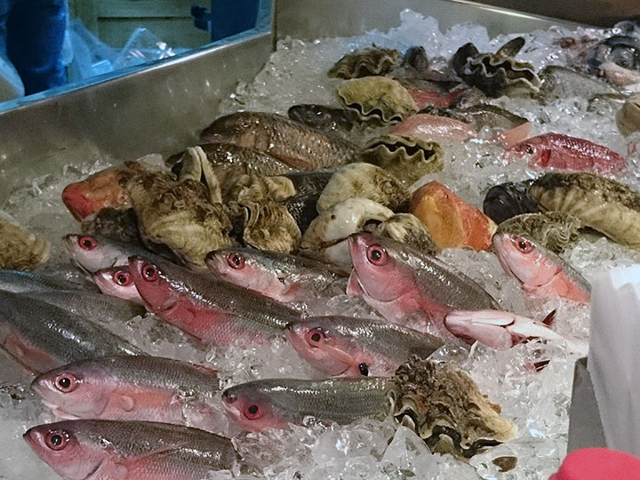 店に並ぶ鮮魚たち