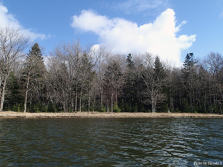 湖水に立ち込み、振り返ると森と青空が見える