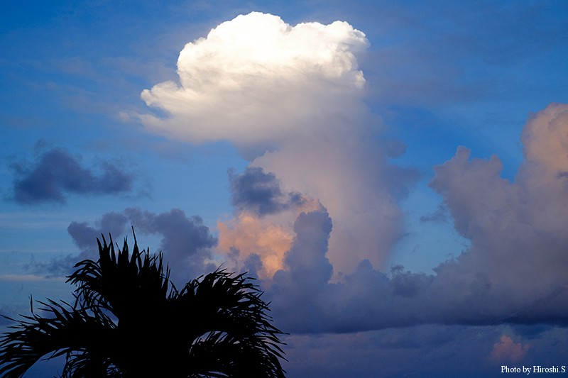 西表島　亜熱帯の島は明け方から入道雲が